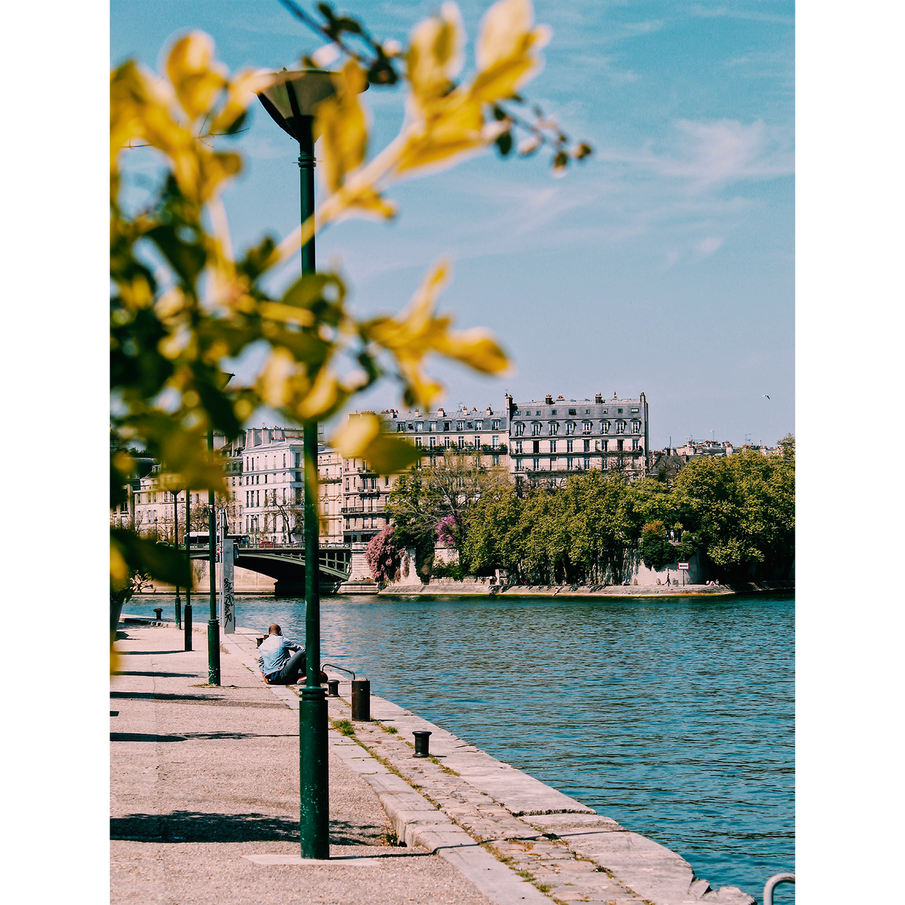 Paysage en bord de Seine à Paris
