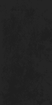 4MURS Papier peint intissé CLASSIC LINE coloris noir