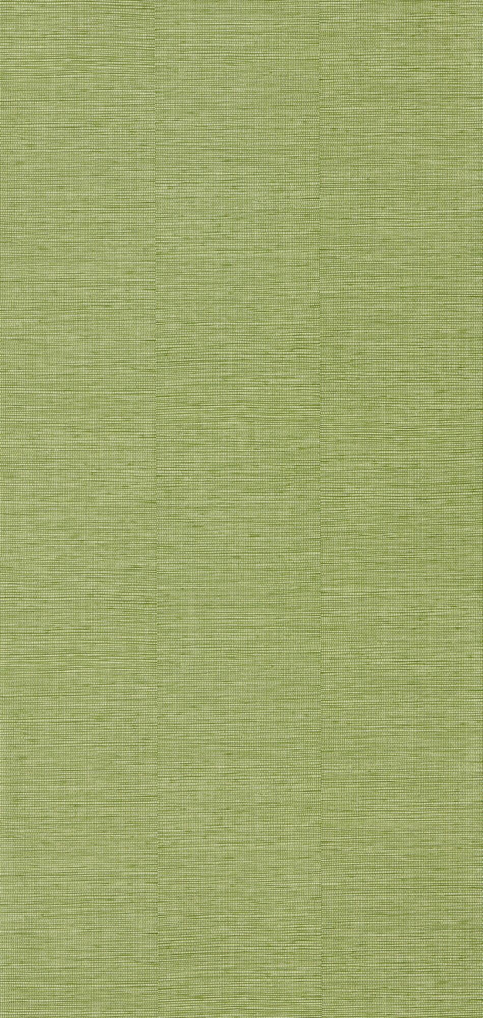 Papier peint intissé Curaçao Vert bambou Paille orientale