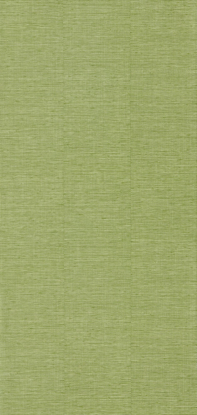 Papier peint intissé CURAÇAO coloris vert bambou