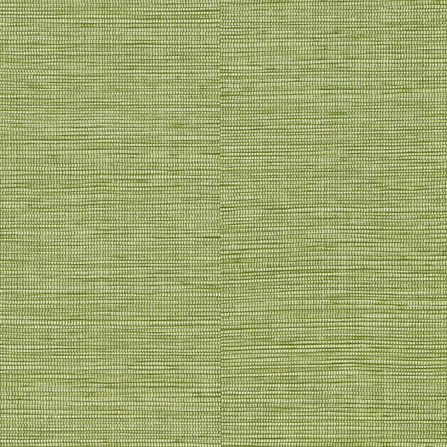 Papier peint intissé CURAÇAO coloris vert bambou