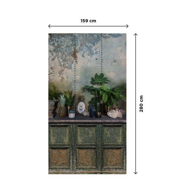 Papier peint panoramique L BORNEO 159 x 280 cm