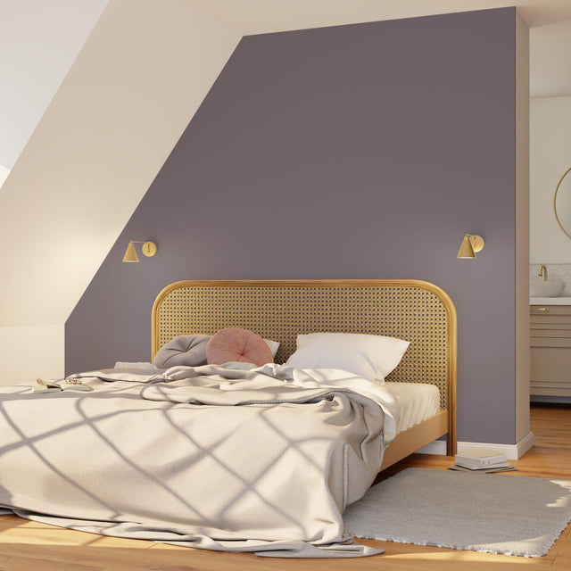 Absolu Peinture Peinture parme givrée Mat 2,5 L