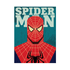 SPIDER MAN
