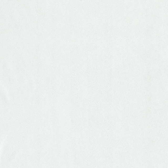 Papier peint intissé SUBLIME coloris blanc or