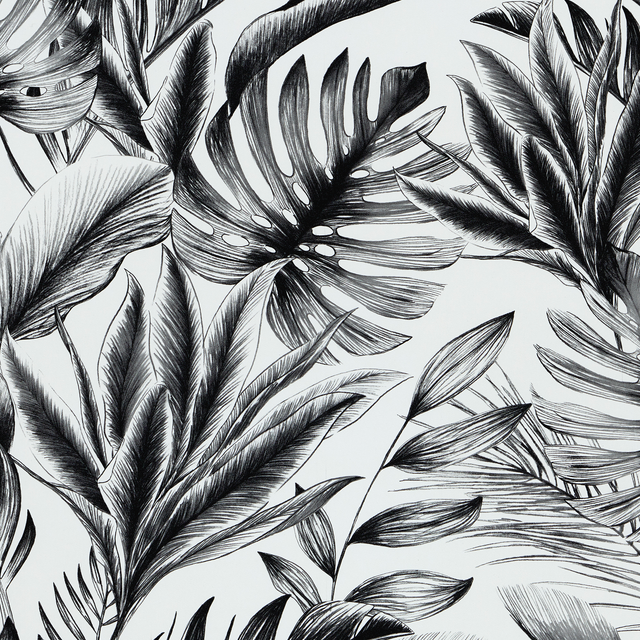 Papier peint intissé SORAYA coloris noir