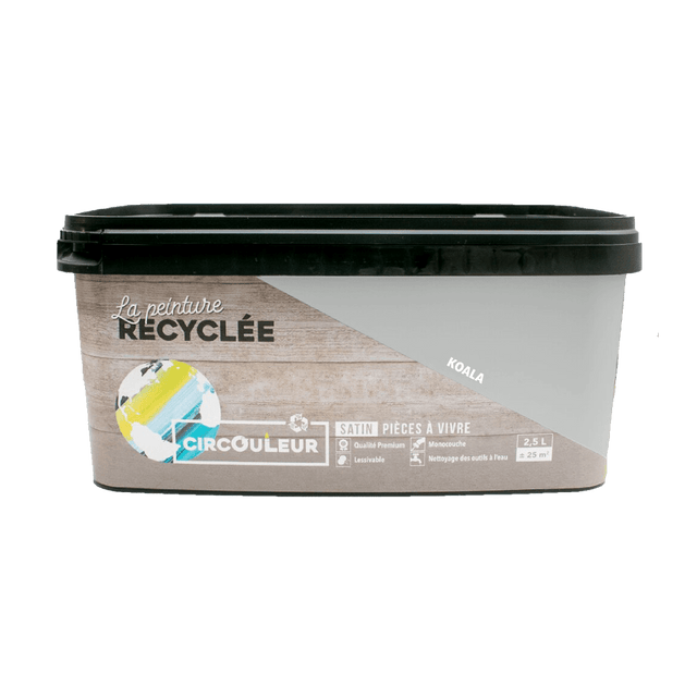 CIRCOULEUR Peinture Peinture koala Satiné 2,5 L