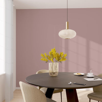 CIRCOULEUR Peinture Circouleur Fleur du japon Satiné 2,5L