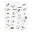 L'ALPHABET ANIMALS ON THE PLANET