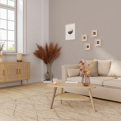 SO QUICK Peinture So quick Café frappé Satiné 2,5L