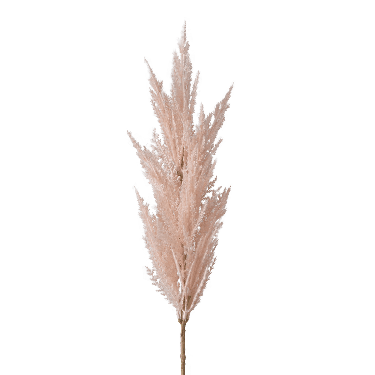Plante artificielle Pink grass Beige