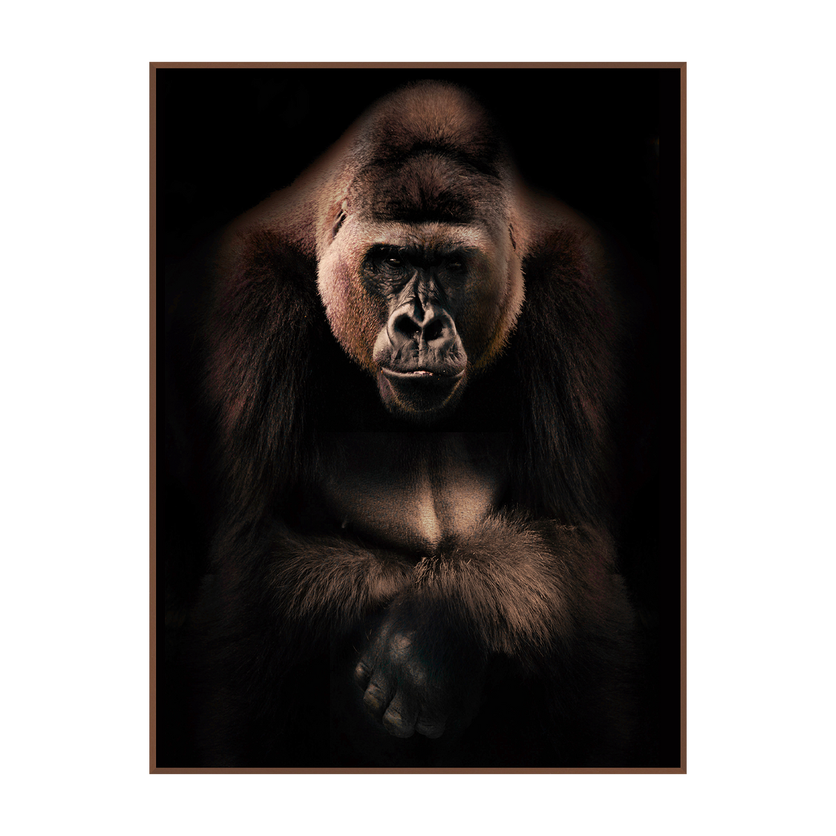Tableau Gorille Bronze