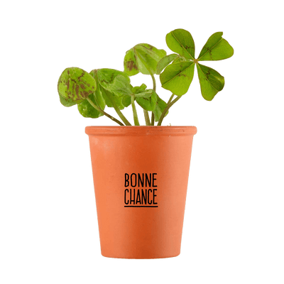 RADIS ET CAPUCINE Kit Message bonne chance - trèfle à 4 feuilles Brun