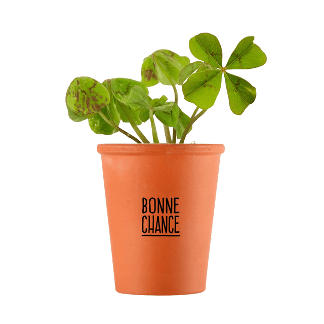 Radis et Capucine Kit MESSAGE BONNE CHANCE - TRÈFLE À 4 FEUILLES