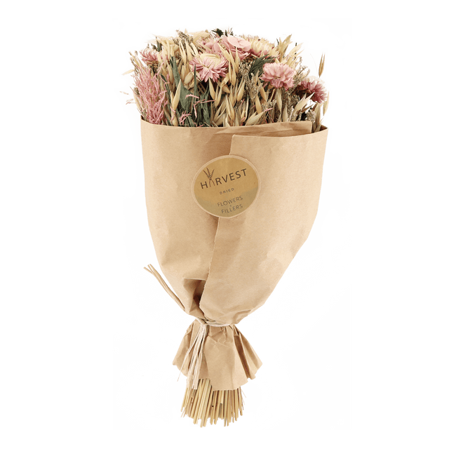 Temerity Jones Fleurs séchées TEODA