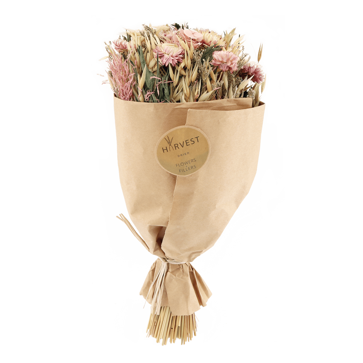 TEMERITY JONES Fleurs séchées Teoda Multicolore