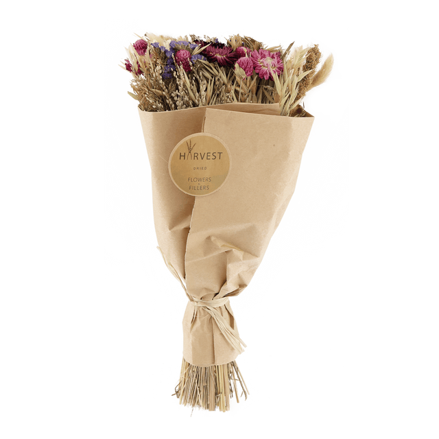 Temerity Jones Fleurs séchées TEODA