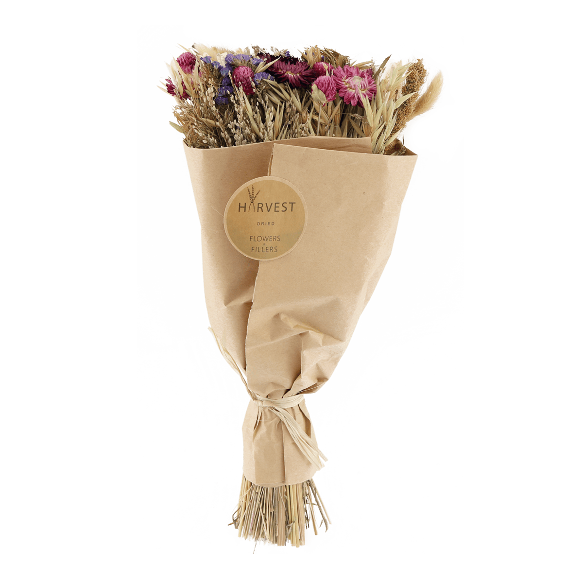 TEMERITY JONES Fleurs séchées Teoda Multicolore