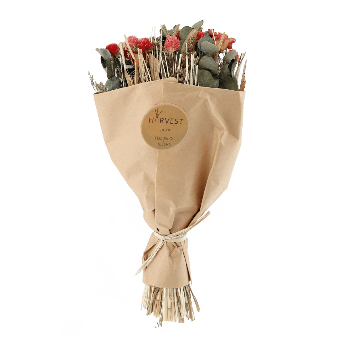 TEMERITY JONES Fleurs séchées Teoda Multicolore