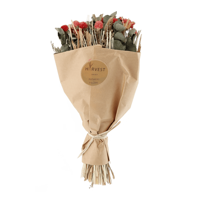 Temerity Jones Fleurs séchées TEODA