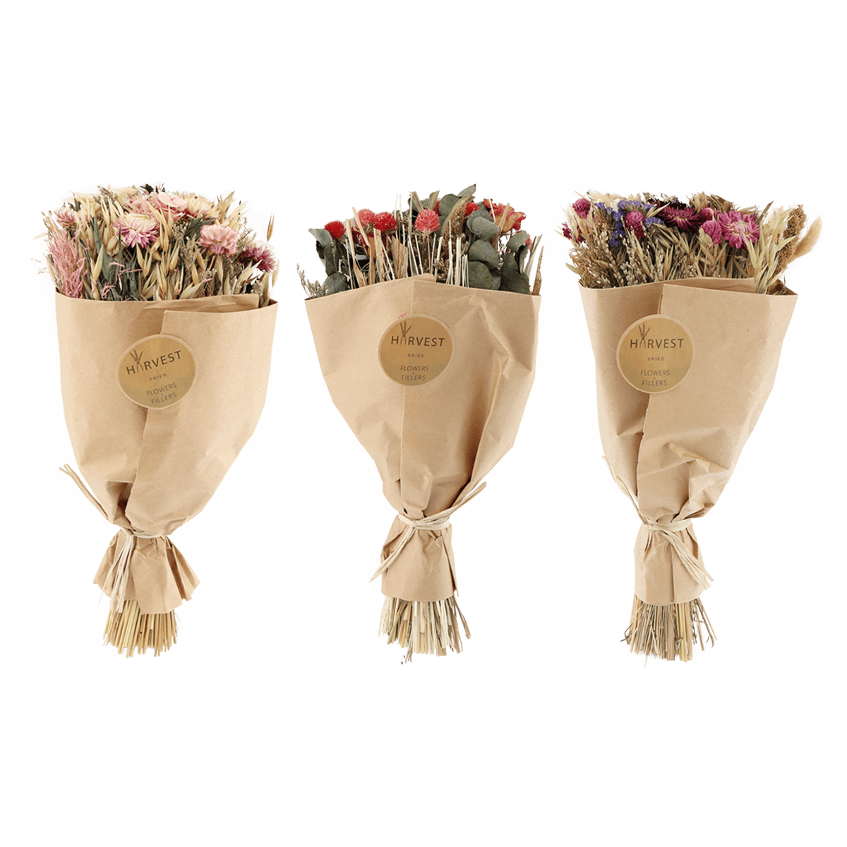 TEMERITY JONES Fleurs séchées Teoda Multicolore