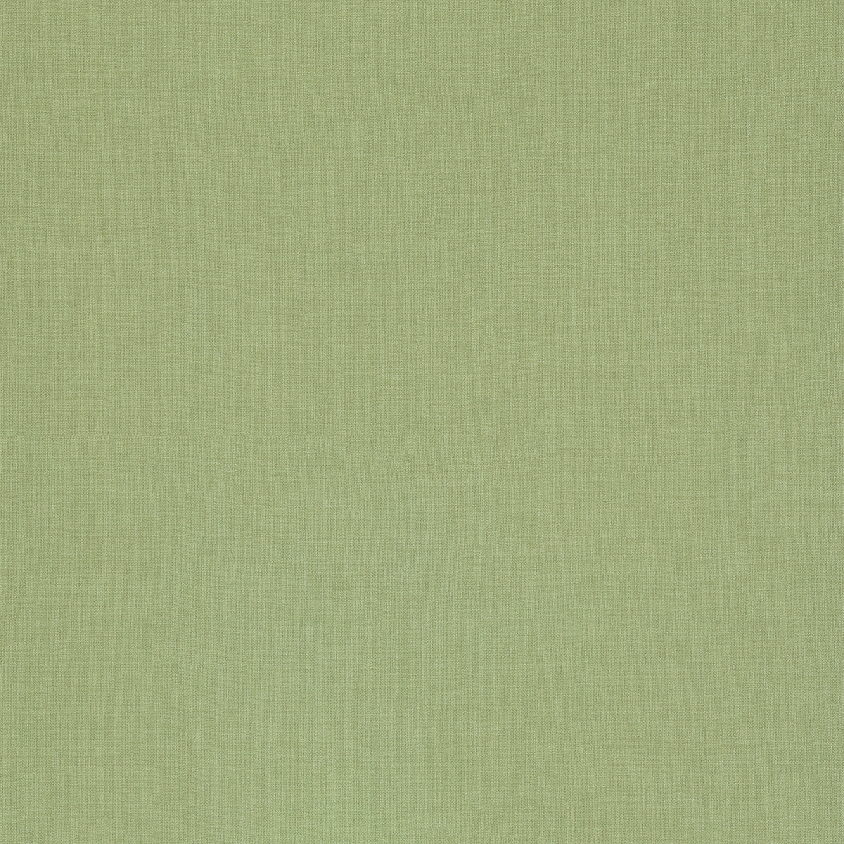 Papier peint intissé Nunca Vert amande Lisse