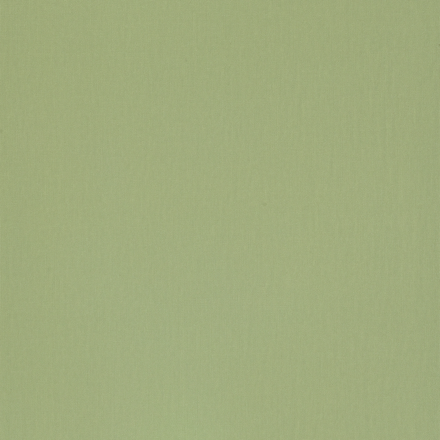 Papier peint intissé NUNCA coloris vert amande