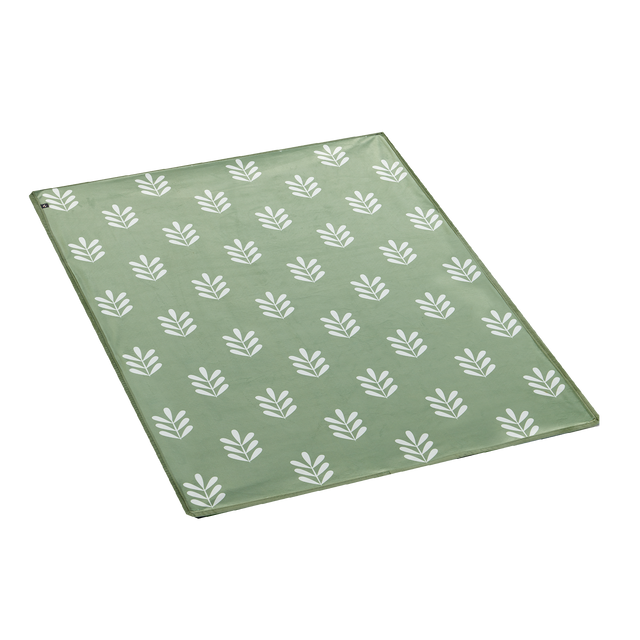 Tapis ALOIS coloris vert clair 70 x 100 cm