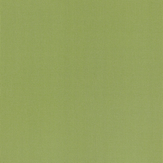 Papier peint intissé NUNCA coloris vert gazon