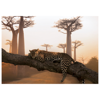 4MURS Tableau Leopard Orange