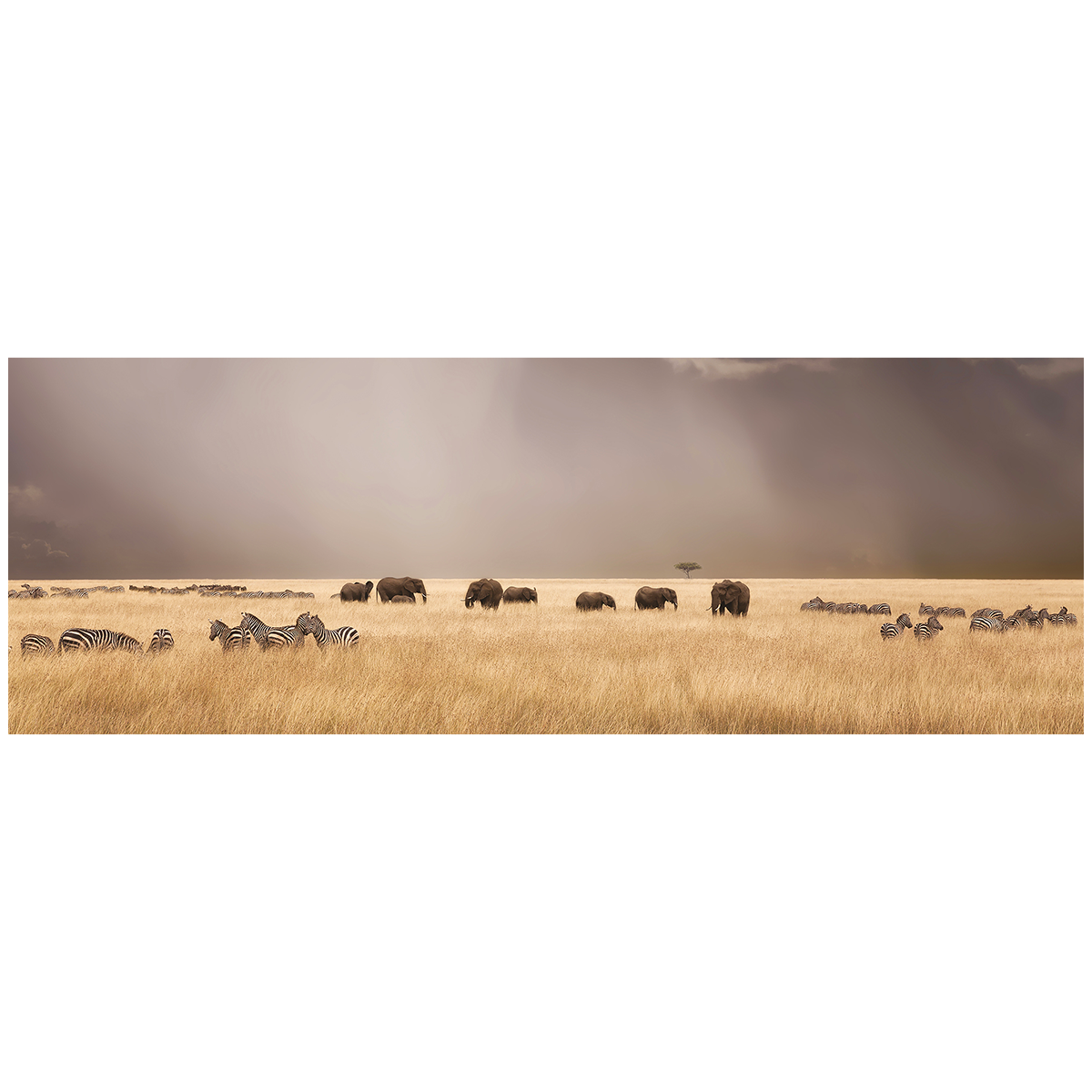 4MURS Tableau Diere Brun