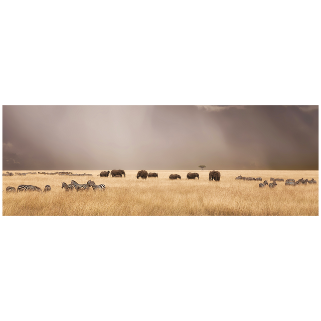 4MURS Tableau DIERE coloris brun