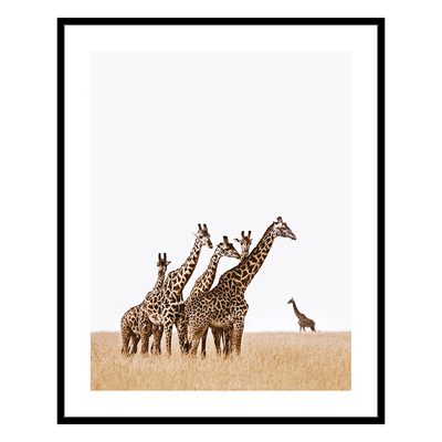 4MURS Tableau Zarafa Noir