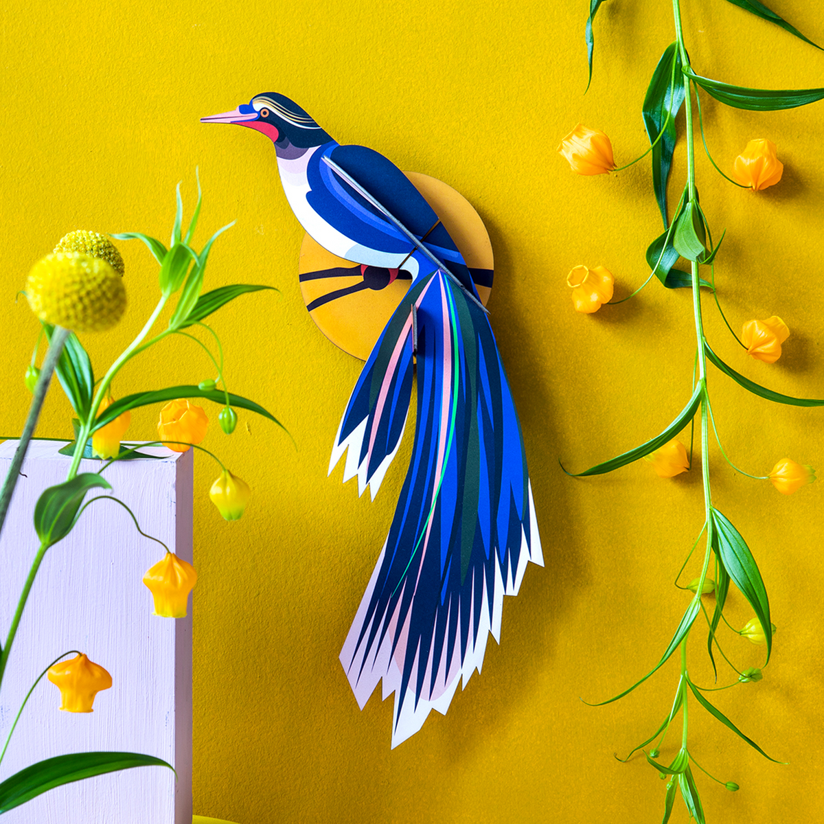 STUDIOROOF Kit Flores Bleu