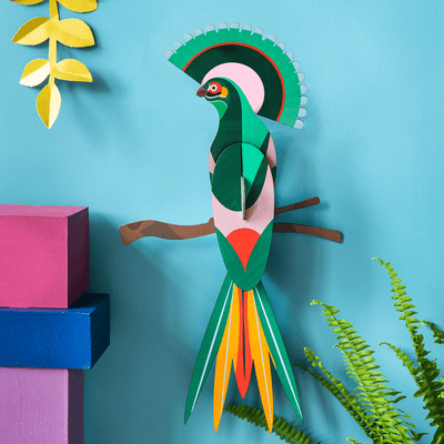 STUDIOROOF Kit Gili Multicolore