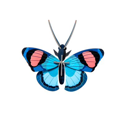 STUDIOROOF Kit Papillon paon Bleu