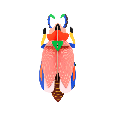 STUDIOROOF Kit Scarabee coccinelle Multicolore