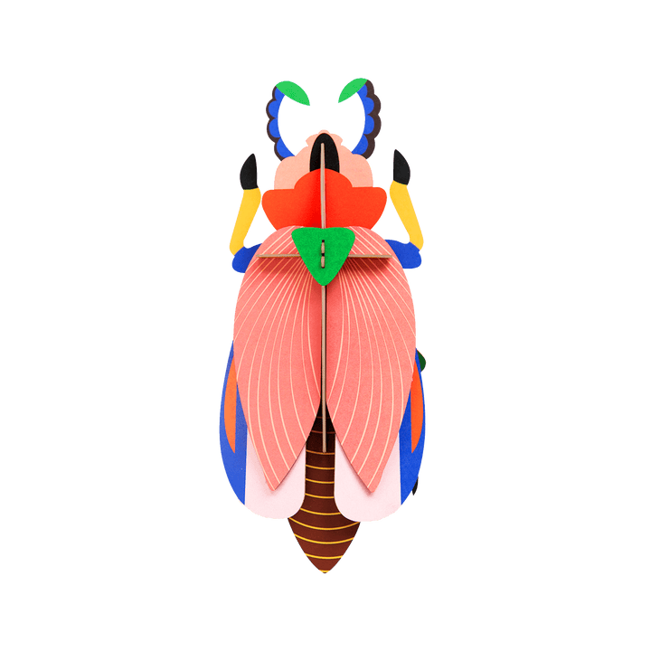 STUDIOROOF Kit Scarabee coccinelle Multicolore