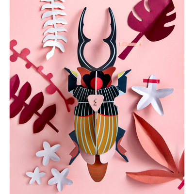 STUDIOROOF Kit Scarabee cerf volant Multicolore