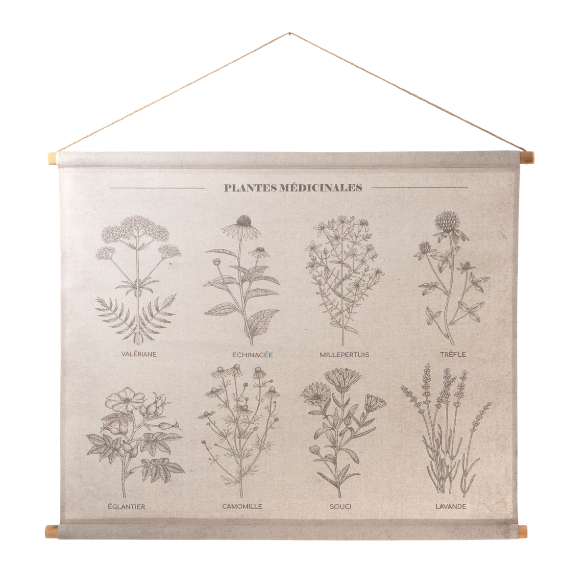 AMADEUS CADES Décoration à suspendre Plantes médicinales Beige