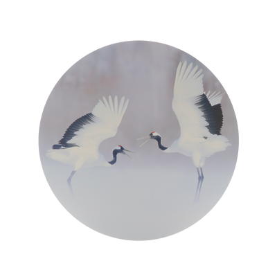 Déco murale Tsuru Rose