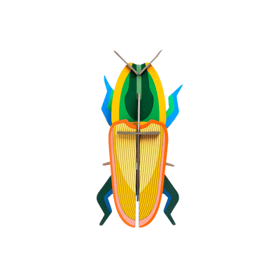 STUDIOROOF Kit Madagascar Multicolore