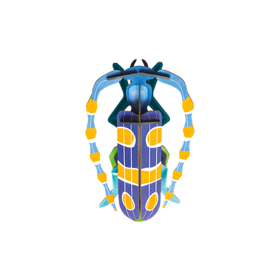 STUDIOROOF Kit Rosalia Bleu