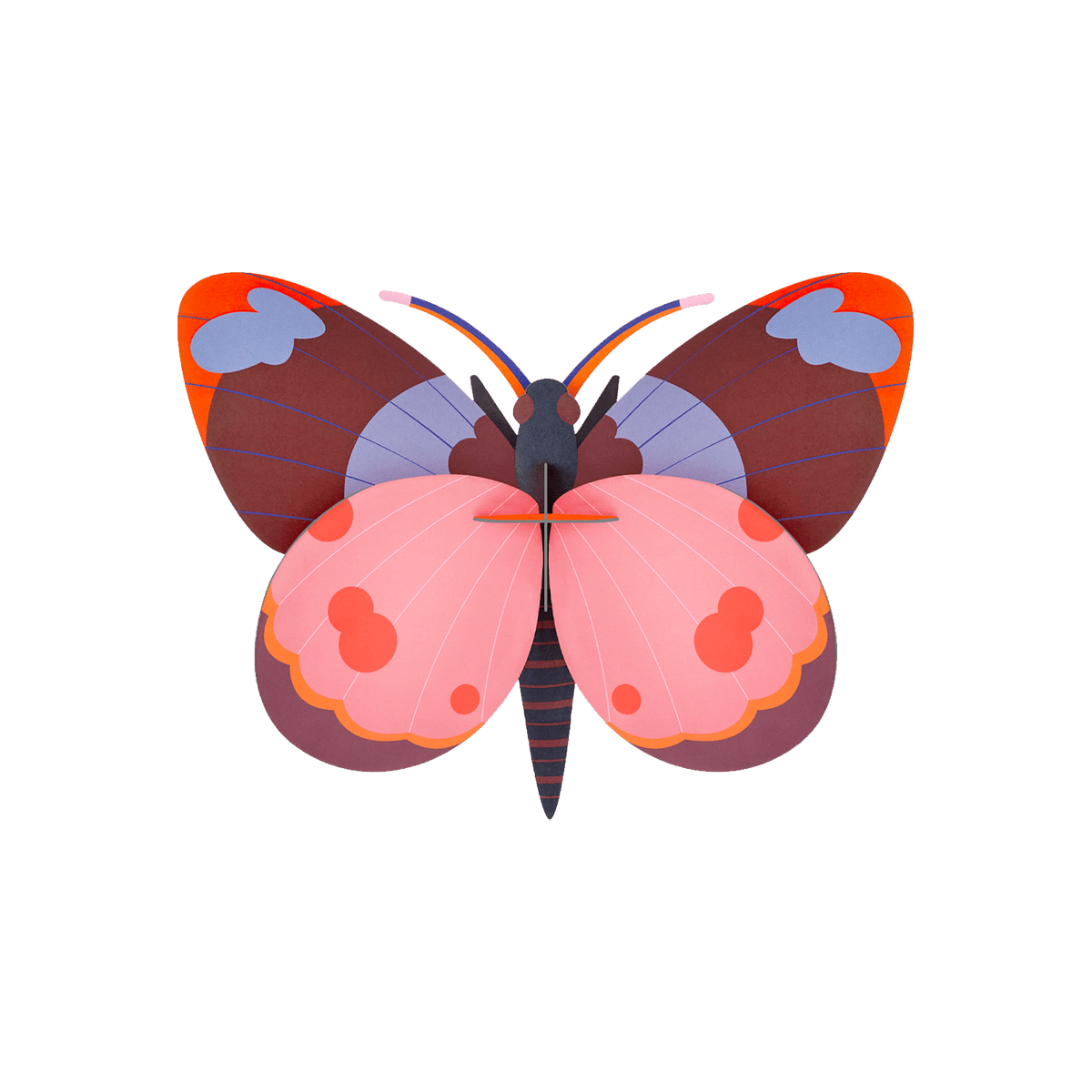 STUDIOROOF Kit Bellissima Rose