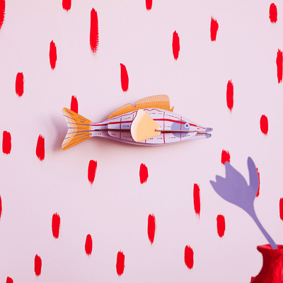 STUDIOROOF Kit Longnose Rose