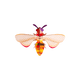 STUDIOROOF Kit Honey bee Orange