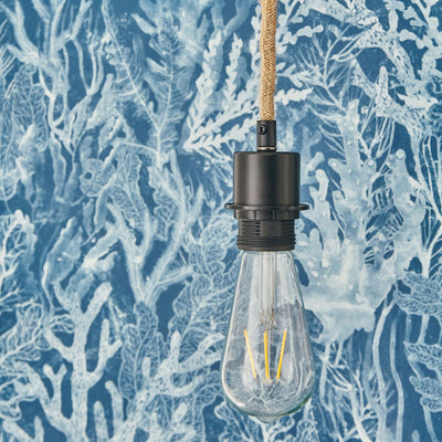 Kit suspension plafond Cordon corde Corde