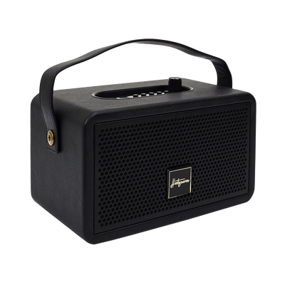 Enceinte Bt hertzmann Noir