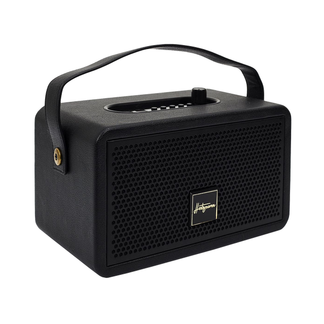 Enceinte BT HERTZMANN coloris noir