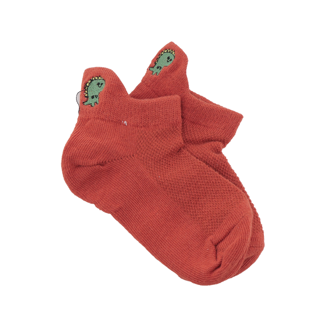 Tites Chaussettes Chaussettes COFFRET LANGUETTE DINO multicolore